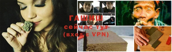 индика Белокуриха