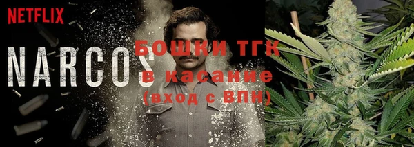 хмурый Балабаново