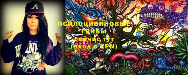 ПСИЛОЦИБИНОВЫЕ ГРИБЫ Балахна