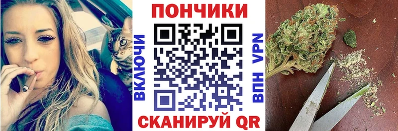 дарнет шоп  Черемхово  Каннабис сатива 